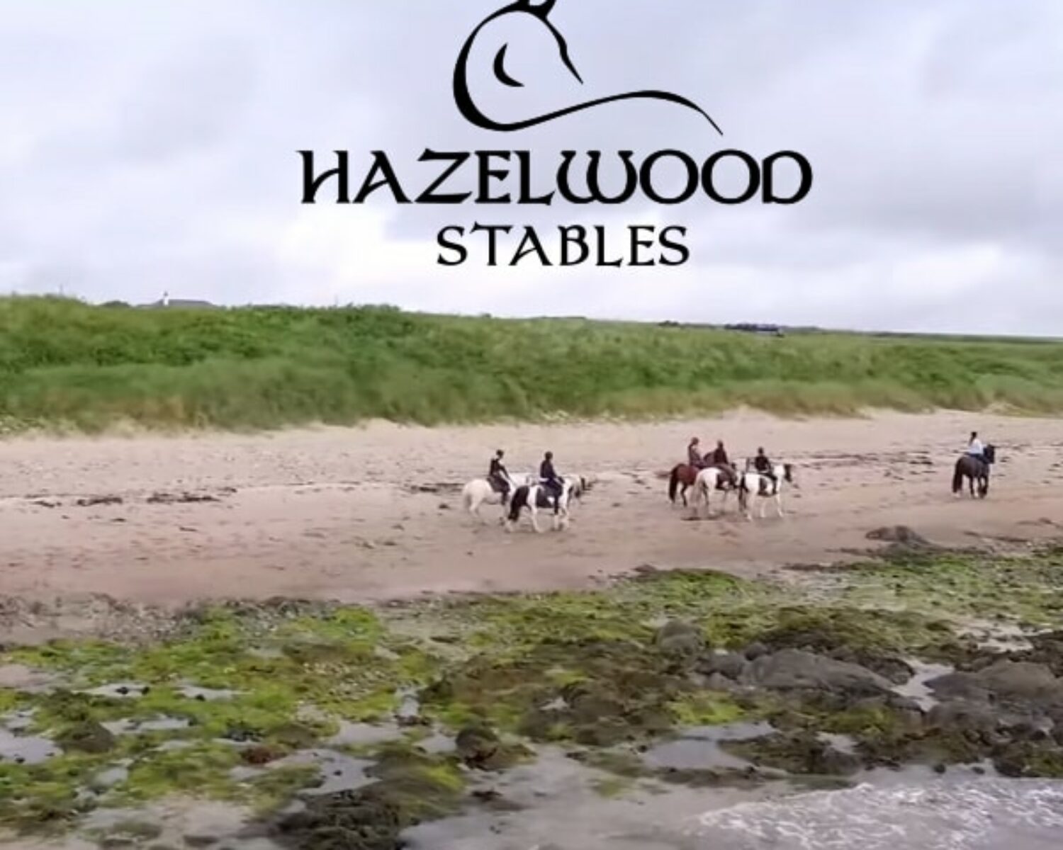 Hazelwood Stables Logo design Wexford
