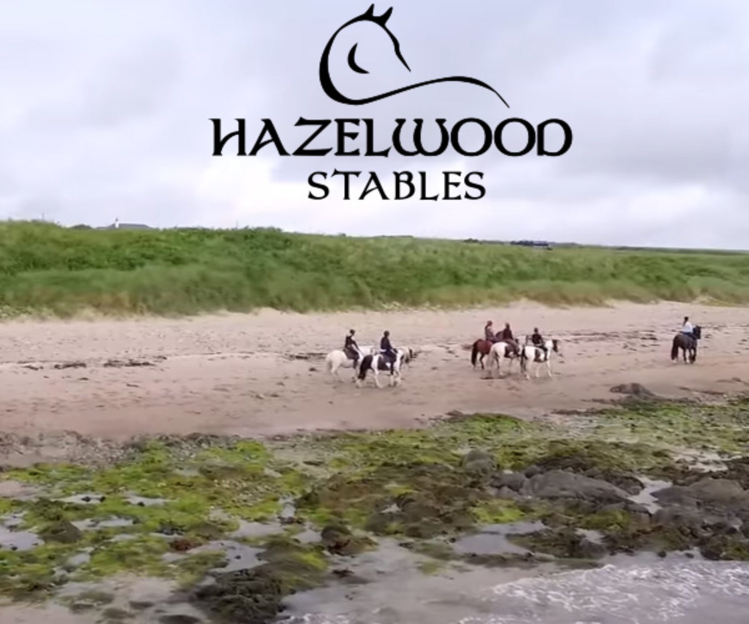Hazelwood Stables Logo design Wexford