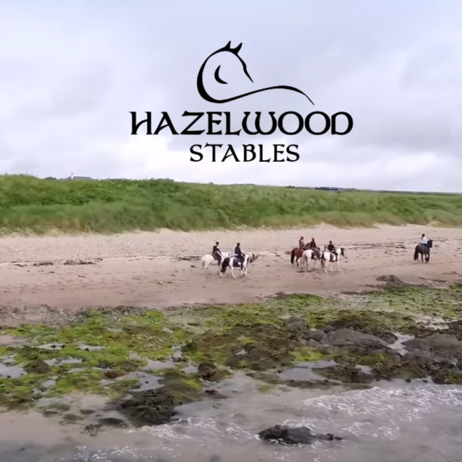 Hazelwood Stables Logo design Wexford