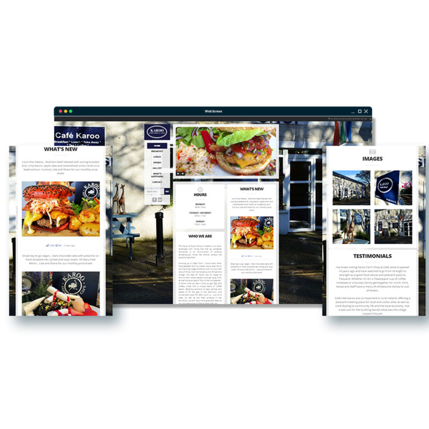 Website Design Wexford karoo web responsive showcase