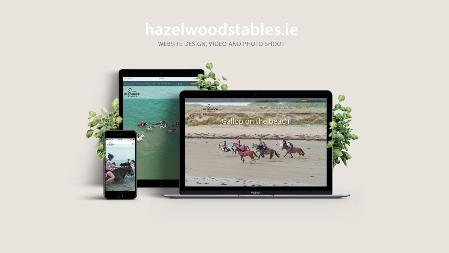 web design Wexford, responsive website views on different devices