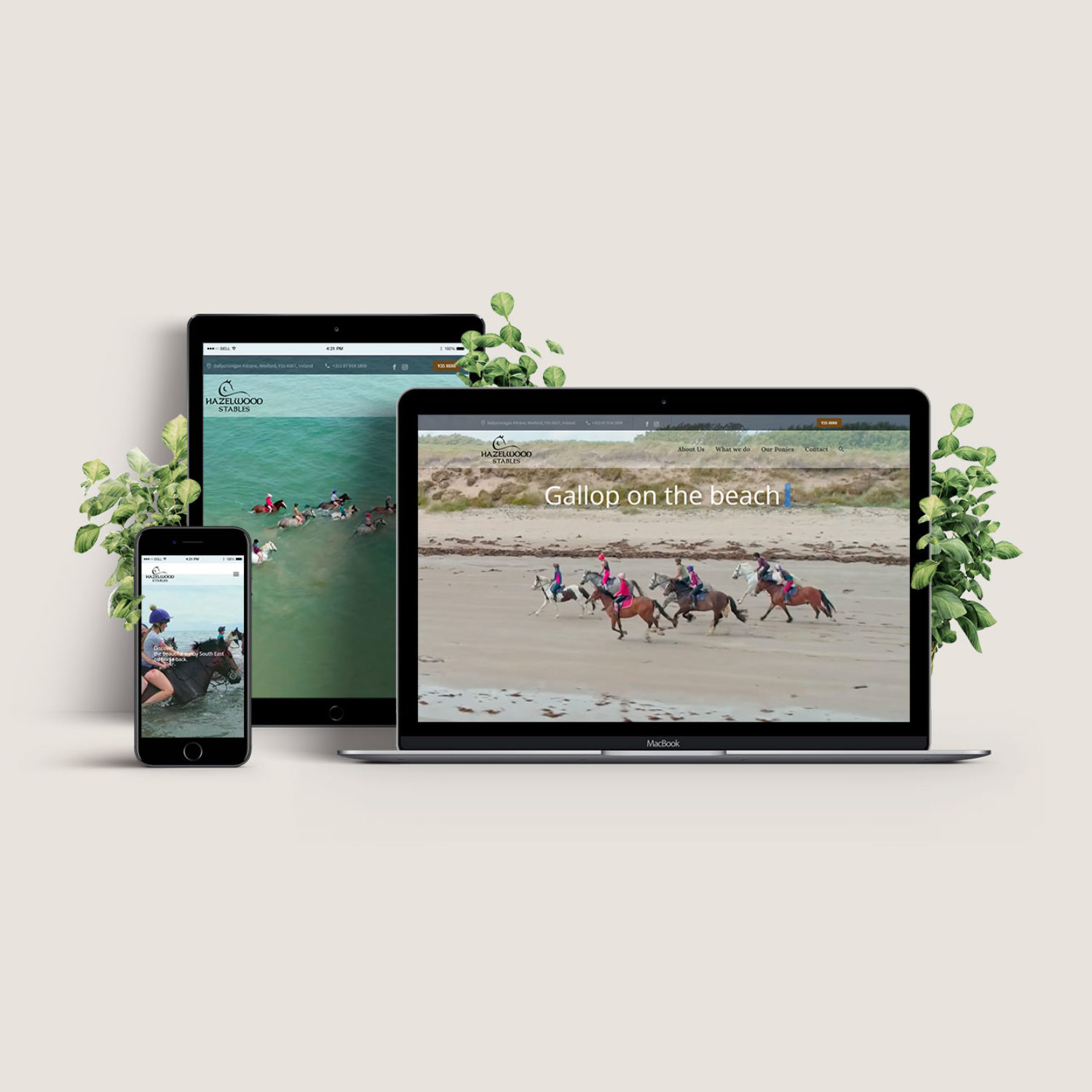 website design Wexford, web view on tablet, mobile and laptop, responsive website