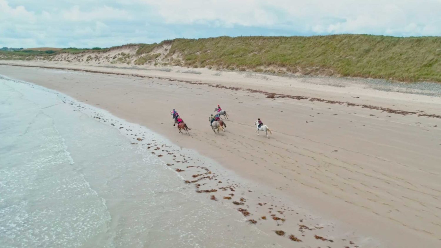 promo video Wexford, shot from the video